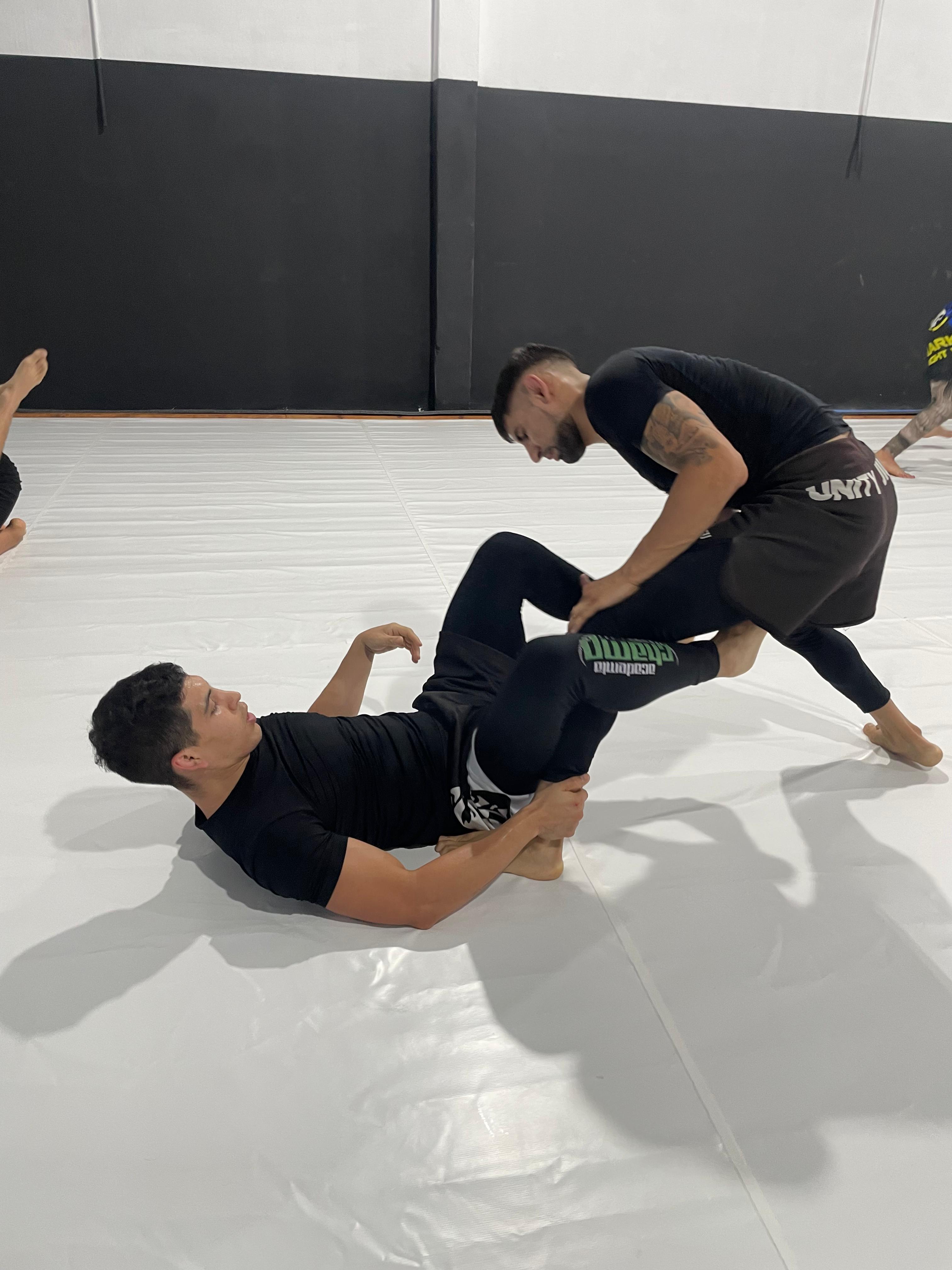 Jiu Jitsu / Grappling